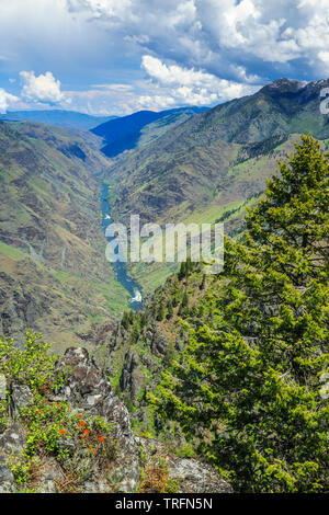 La rivière Snake dans le Hells Canyon vu de barton heights le long de la frontière de l'oregon-idaho près de imnaha, Oregon Banque D'Images