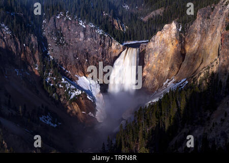 La Yellowstone River coule sur les 308 pieds de haut en bas tombe le Grand Canyon de la Yellowstone en parc national de Yellowstone Banque D'Images