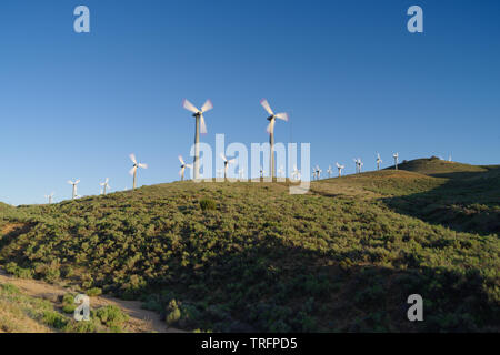 Éoliennes dans le comté de Kern en Californie du Sud. Banque D'Images