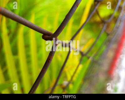 Rusty clôture métallique avec fond de végétation Banque D'Images