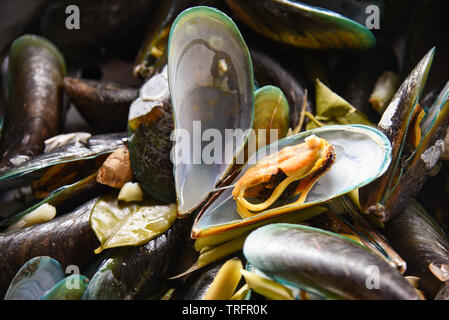 Les moules avec des herbes dans une marmite de fruits de mer cuits vapeur moules vertes Banque D'Images
