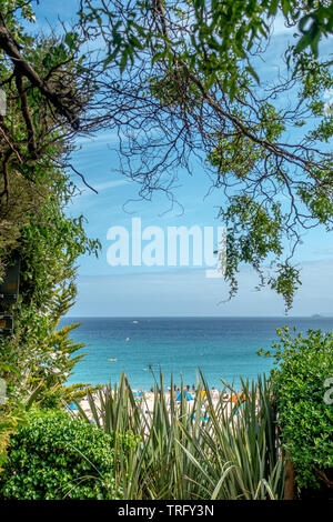 Une vue sur la mer à travers les arbres le long de la côte près de St Ives en Cornouailles Banque D'Images