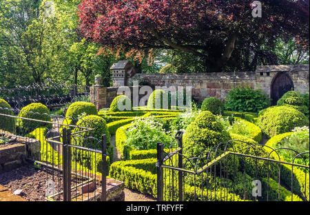 Parterre jardin de buis taillés dans le jardin clos de Norbury Manor près de Ashbourne, dans le Derbyshire UK Banque D'Images