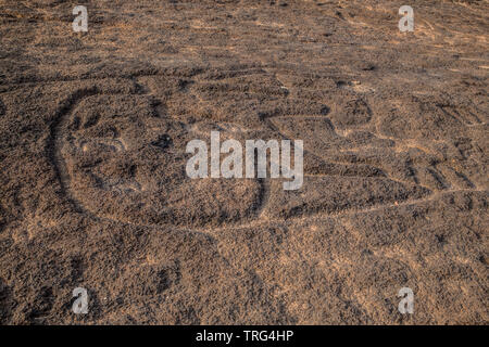 La célèbre Usgalimal rock carvings à Goa, Inde. Daté avant 8000 av. Banque D'Images