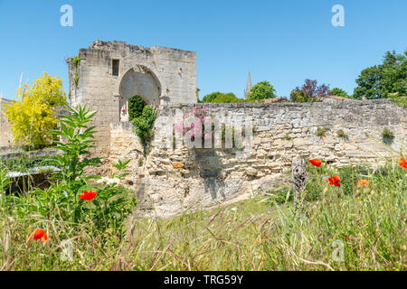 Saint-Emilion (Gironde, France), ruines du château médiéval dans le village Banque D'Images