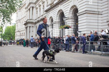 Les chiens renifleurs de la police ont été vus contrôler la rue que media préparer l'arrivée du Président sur Downing Street, Westminster, Londres. Banque D'Images