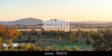 Une brume de basse altitude s'empare des pâturages tandis que le soleil se lève sur les pâturages entourant la ville de Gunnedah, dans le nord-ouest de la Nouvelle-Galles du Sud, en Australie. Banque D'Images