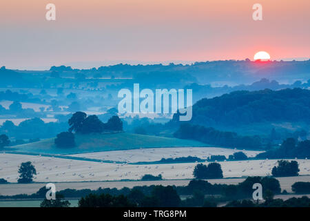 Lever du soleil sur un matin d'été sur la campagne près de Compton Pauncefoot, Somerset, Angleterre Banque D'Images