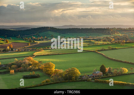 Couleurs d'automne, Corton Denham, Somerset, England, UK Banque D'Images