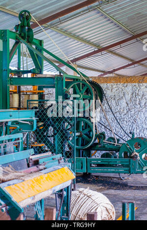Vintage machines industrielles pour le tissage de fibres d'Agave, prises à l'usine à Tecoh, dans la péninsule du Yucatan Banque D'Images