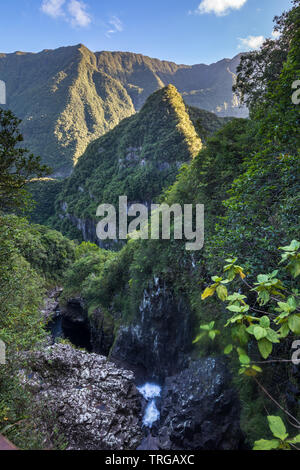 Les Marsouins Valley, Takamaka, l'île de la Réunion, France Banque D'Images
