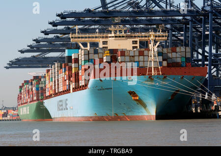 Port de Felixstowe, Suffolk, UK. Banque D'Images