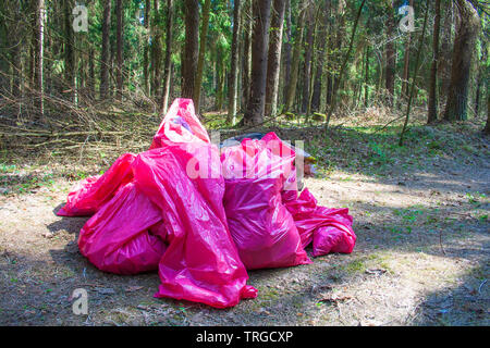 La collecte ou ramasser des ordures, déchets et en plastique pour le nettoyage d'une forêt, la pollution Banque D'Images