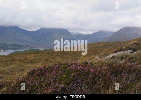 Heather Bell Landes et une vue de la montagnes Cuillin noires sous un ciel couvert Journée d'automne. Isle of Skye, Scotland, UK. Banque D'Images