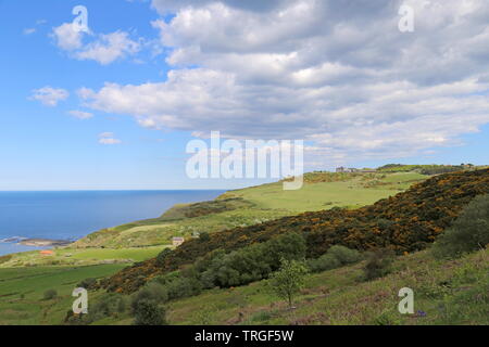 Les Œuvres d'alun et Raven Hall Hotel, à partir de la piste cendrée, Ravenscar, North Yorkshire, Angleterre, Grande-Bretagne, Royaume-Uni, UK, Europe Banque D'Images