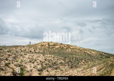 Oleshky Oleshky ou sables du désert Désert, deuxième plus grand désert de l'Europe et la plus grande étendue de sable en Ukraine. Oblast de Kherson, Ukraine Banque D'Images