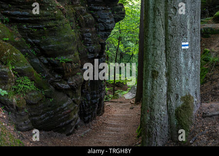 Vue sur le sentier d'schwedenloecher dans la Suisse saxonne , Allemagne Banque D'Images