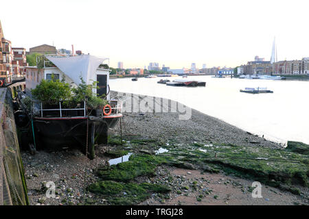 Une péniche avec des plantes amarré sur la Tamise rivière avec une vue sur les bateaux, tesson et city apartments Rotherhithe South London UK KATHY DEWITT Banque D'Images