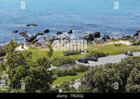 Une vue sur les rochers et les Moai statue sur la rive de la baie Lyal, Wellington, Nouvelle-Zélande. Banque D'Images