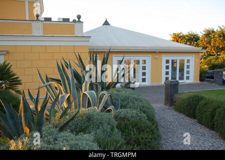 Détails Gros plan d'une maison à Naples Italie au lever du soleil, véranda, terrasse, balcon et plantes tropicales, copyspace Banque D'Images