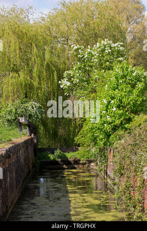 Cerney Wick, Thames et de blocage du canal de Severn Banque D'Images