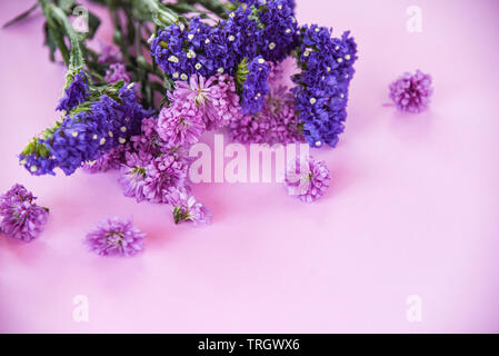 Printemps frais fleur pourpre Marguerite et statice flowers frame composition plante sur Purple Rose doux fond beau - Télévision jeter dessus avec co Banque D'Images