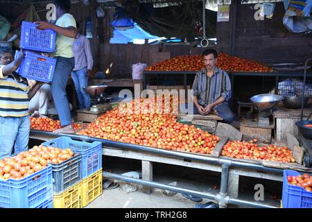 Vendeur de tomates au marché Devaraja à Mysore, Inde Banque D'Images