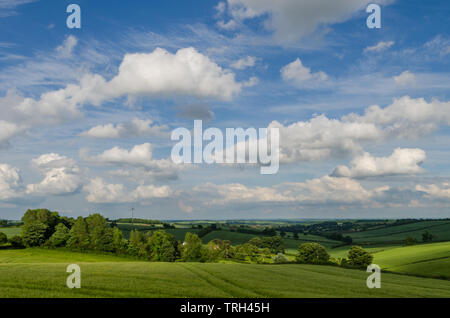 Une campagne anglaise sur un bel après-midi ensoleillé avec des nuages circulent dans le ciel bleu profond. Banque D'Images