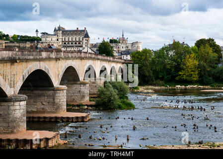 Pont sur la Loire à Amboise, Loire, France. Banque D'Images