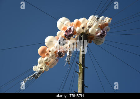 Ballons pris dans les câbles téléphoniques Banque D'Images