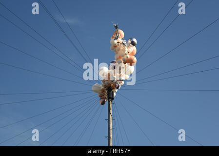 Ballons pris dans les câbles téléphoniques Banque D'Images