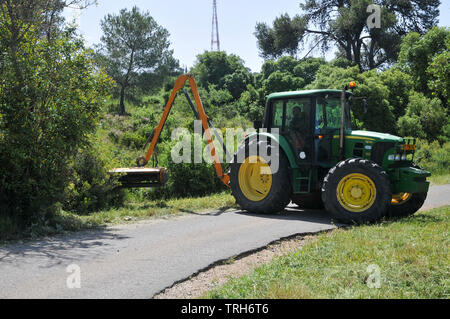 Efface les mauvaises herbes de Forester un chemin de feu dans une forêt. Photographié dans la Montagne de Carmel Forest, Israël Banque D'Images