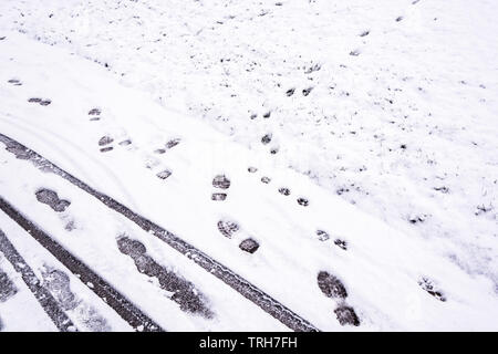 Pistes et empreintes de pas sur le chemin couvert de neige en hiver 1 Banque D'Images