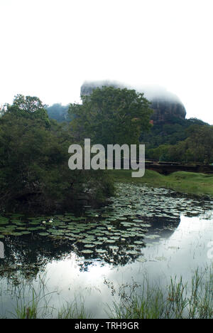 Les jardins de la forteresse de Sigiriya Rock, un monticule de rock a fait capitale du Sri Lanka par le roi Kasyapa au 4ème siècle. Abandonnée après le dea du roi Banque D'Images