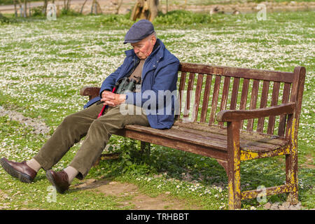 Monsieur âgé se reposant sur un banc à Slimbridge Banque D'Images