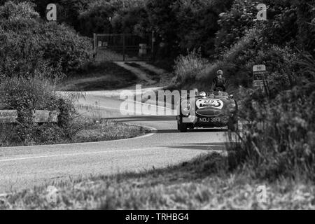 PESARO COLLE SAN BARTOLO , ITALIE - MAI 17 - 2018 : Austin Healey 100 S 1953 sur une vieille voiture de course en rallye Mille Miglia 2018 le célèbre italien histori Banque D'Images