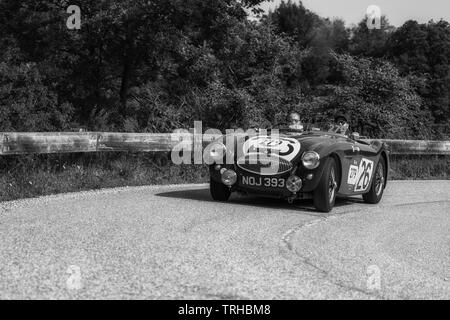 PESARO COLLE SAN BARTOLO , ITALIE - MAI 17 - 2018 : Austin Healey 100 S 1953 sur une vieille voiture de course en rallye Mille Miglia 2018 le célèbre italien histori Banque D'Images