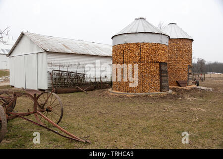 Le maïs stocké dans un berceau, Amish farm, Indiana, par James D Coppinger/Dembinsky Assoc Photo Banque D'Images