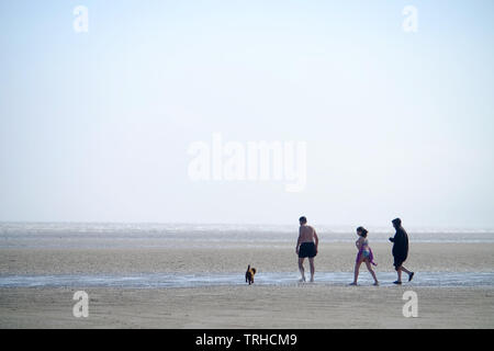 Marcher un chien sur une plage de vent, la cambrure, East Sussex, UK Banque D'Images
