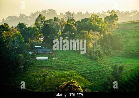 Maison paysage dans le brouillard hill coucher du soleil belle Banque D'Images