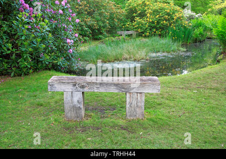 Vue d'un étang avec des bancs et des fleurs dans les jardins de l'eau dans les Norfolk Broads Comment Hill, Ludham, Norfolk, Angleterre, Royaume-Uni, Europe. Banque D'Images