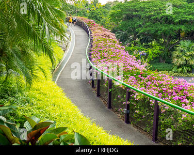 Deux filles asiatiques marcher sur un chemin dans les jardins, près de la baie de Singapour. Banque D'Images