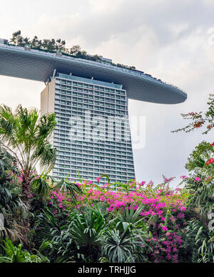 Jardin Tropical de Gardens By The Bay et Marina Bay Resort Hôtel piscine à débordement sur le toit avec jardins au bord de la bay de Singapour. Banque D'Images
