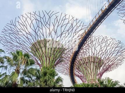 Tissage passerelle surélevée entre les arbres artificiels dans l'Supertree Grove jardin vertical dans les jardins de la baie de Singapour. Banque D'Images