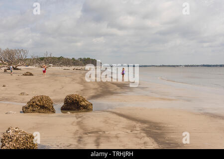 Jekyll Island Georgia Rocky Driftwood Beach Banque D'Images