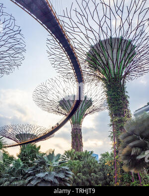 Tissage passerelle surélevée entre les arbres artificiels dans l'Supertree Grove jardin vertical dans les jardins de la baie de Singapour. Banque D'Images