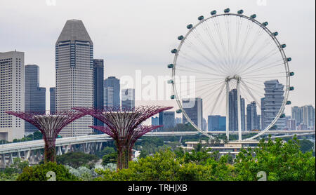 La grande roue Singapore Flyer et Millenia Tower et Supertree Grove jardin vertical dans les jardins de la baie de Singapour. Banque D'Images