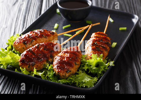 Harry (boulettes de poulet grillé japonais) Gros plan sur une assiette sur la table horizontale. Banque D'Images