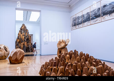 Sculptures, exposition de David Nash, National Museum of Wales, Cardiff, Pays de Galles Banque D'Images