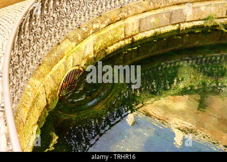 Die Donauquelle à Donaueschingen im Schwarzwald Banque D'Images